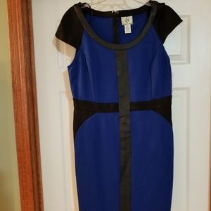 Bold Blue & Black Dress